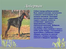 Классный час Собака - друг человека