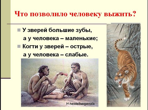 презентация на тему безопасность жизни