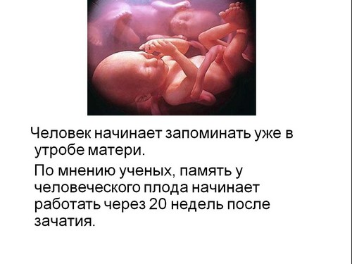 презентация на тему память
