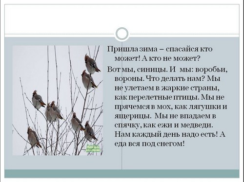 проект покормите птиц зимой презентация