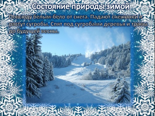 презентация признаки зимы