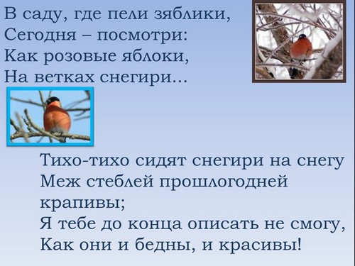 презентация для детей снегири