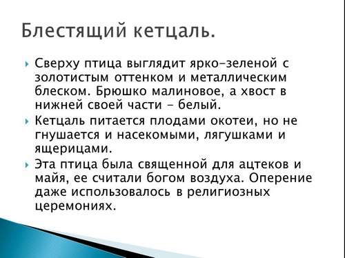 презентация виды птиц