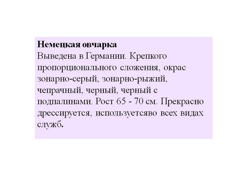 презентация на тему служебные собаки