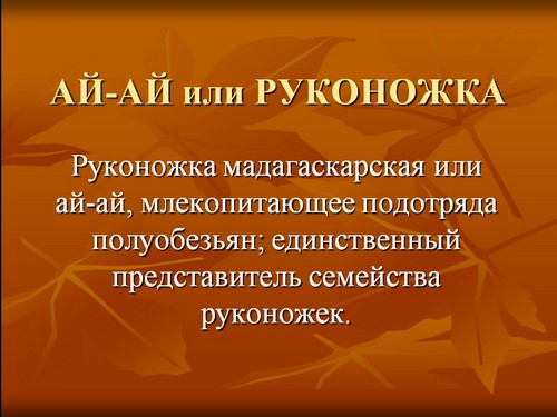 презентация день защиты животных