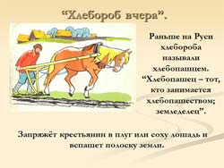 Классный час История хлеба