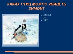 Классный час О птицах зимой
