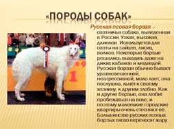 Классный час Собака - друг человека